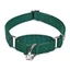 PET ACCESSORIES ef_pc_petc0v671p00155 in Sri Lanka
